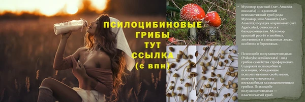 спайс Арсеньев