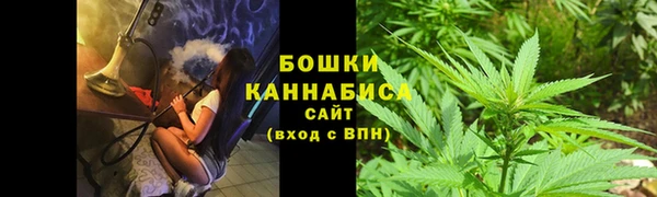 ПСИЛОЦИБИНОВЫЕ ГРИБЫ Армянск