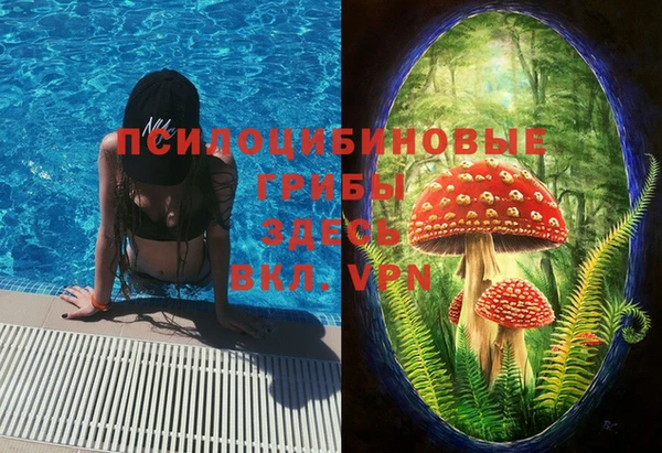 ПСИЛОЦИБИНОВЫЕ ГРИБЫ Армянск