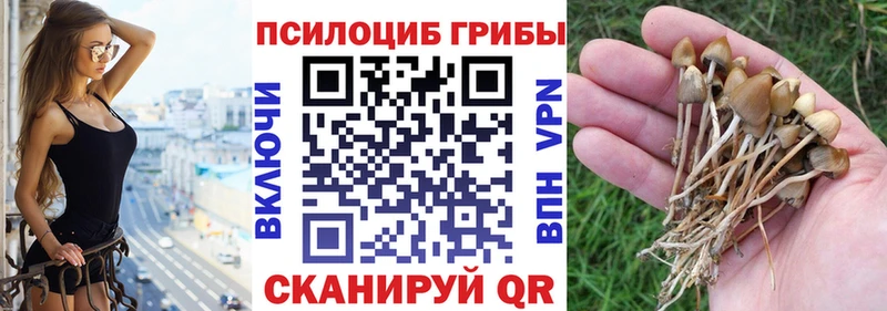 Галлюциногенные грибы ЛСД Правдинск